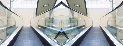 Institut - Vision